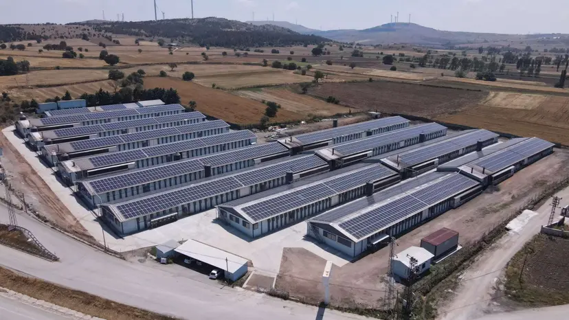 Kula Yağ